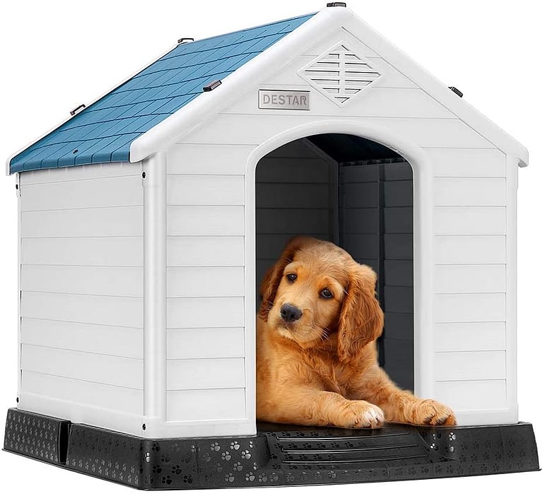 What is the Best Dog Kennel on Sale? - Dog Supply Hub